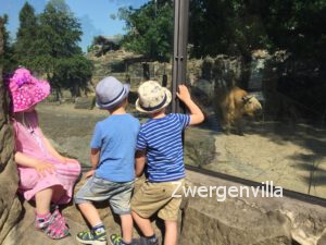 Zoo