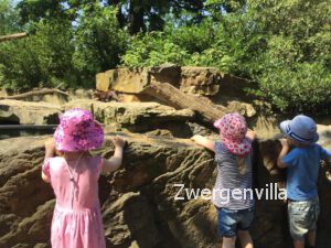 Zoo